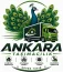 ankara esat nakliyat logo.